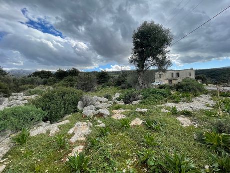 Οικόπεδο 1.292τ.μ. για πώληση-Αρκάδι