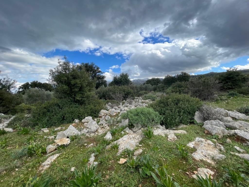 Οικόπεδο 1.292 τ.μ. πρός πώληση, Ν. Ρεθύμνου, Αρκάδι