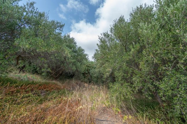 Οικόπεδο 2.000 τ.μ. για πώληση, Ν. Ρεθύμνου, Αρκάδι