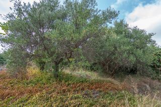 Οικόπεδο 2.000 τ.μ. για πώληση, Ν. Ρεθύμνου, Αρκάδι-thumb-10