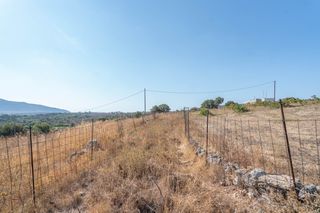 Οικόπεδο 4.796 τ.μ. για πώληση, Ν. Ρεθύμνου, Ρέθυμνο-thumb-7