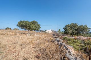 Οικόπεδο 4.796 τ.μ. για πώληση, Ν. Ρεθύμνου, Ρέθυμνο-thumb-2