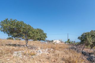 Οικόπεδο 4.796 τ.μ. για πώληση, Ν. Ρεθύμνου, Ρέθυμνο-thumb-4