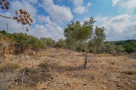 Οικόπεδο 4.200τ.μ. για πώληση-Νικηφόρος φωκάς