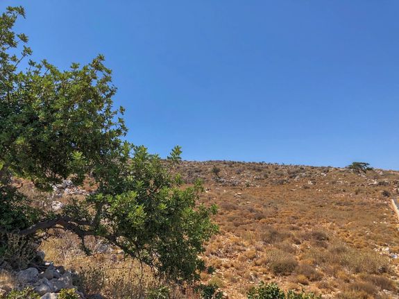 Αγροτεμάχια 5.123 τ.μ. για πώληση, Ν. Ρεθύμνου, Νικηφόρος Φωκάς