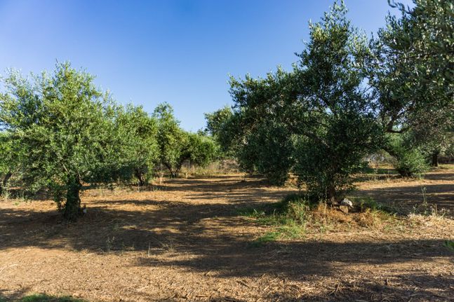 Land plot 1.520 sqm for sale, Rethymno Prefecture, Arkadi