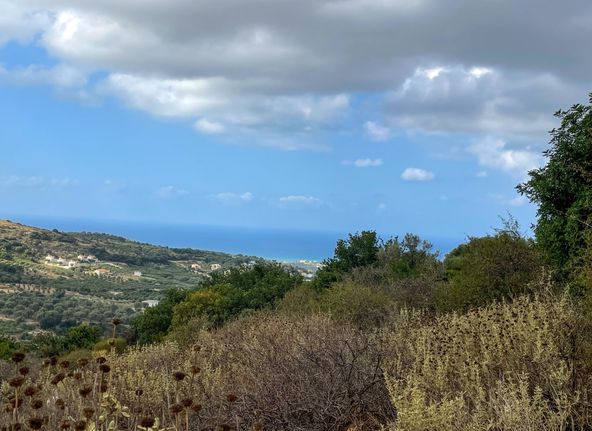 Parcel 6.705 sqm for sale, Rethymno Prefecture, Arkadi