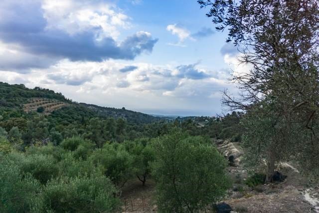 Αγροτεμάχια 8.891 τ.μ. πρός πώληση, Ν. Ρεθύμνου, Αρκάδι