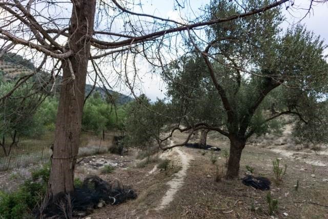 Αγροτεμάχια 8.891 τ.μ. πρός πώληση, Ν. Ρεθύμνου, Αρκάδι