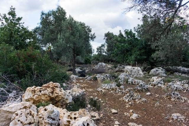 Αγροτεμάχια 8.891 τ.μ. πρός πώληση, Ν. Ρεθύμνου, Αρκάδι