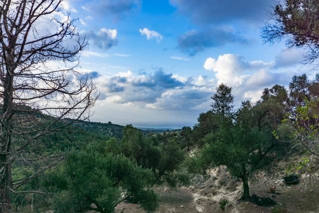 Αγροτεμάχια 8.891 τ.μ. πρός πώληση, Ν. Ρεθύμνου, Αρκάδι