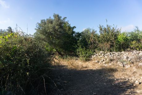 Αγροτεμάχια 18.736τ.μ. για πώληση-Ρέθυμνο