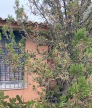 Land plot 276sqm for sale-Dafni » Agia Varvara Dafnis