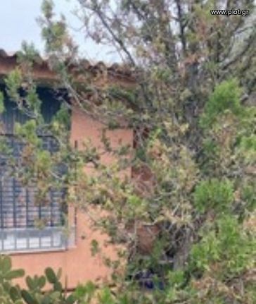 Οικόπεδο 276 τ.μ. για πώληση, Αθήνα - Νότια Προάστια, Δάφνη