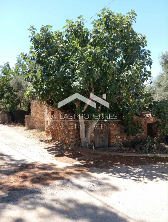 Μονοκατοικία 66 τ.μ. προς πώληση, Φουρνές