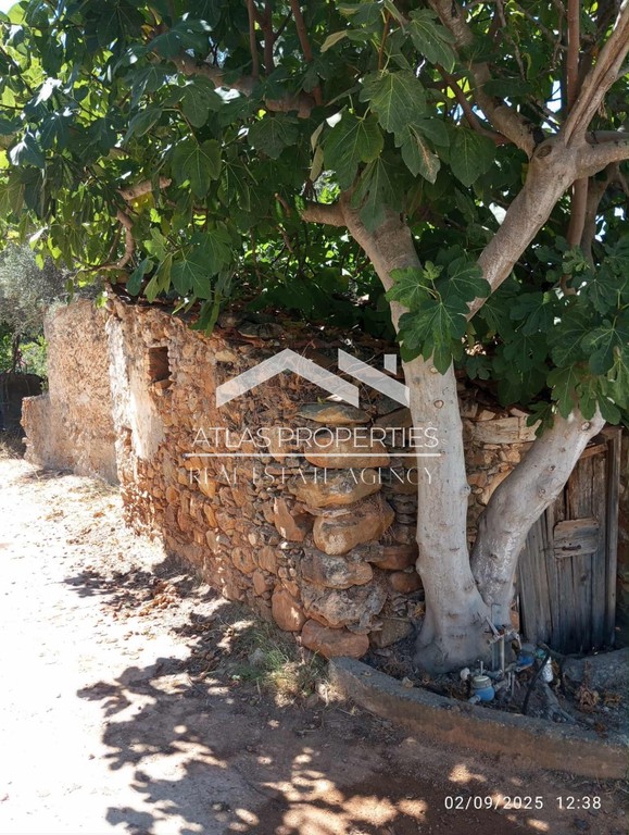 Μονοκατοικία 66 τ.μ. προς πώληση, Φουρνές