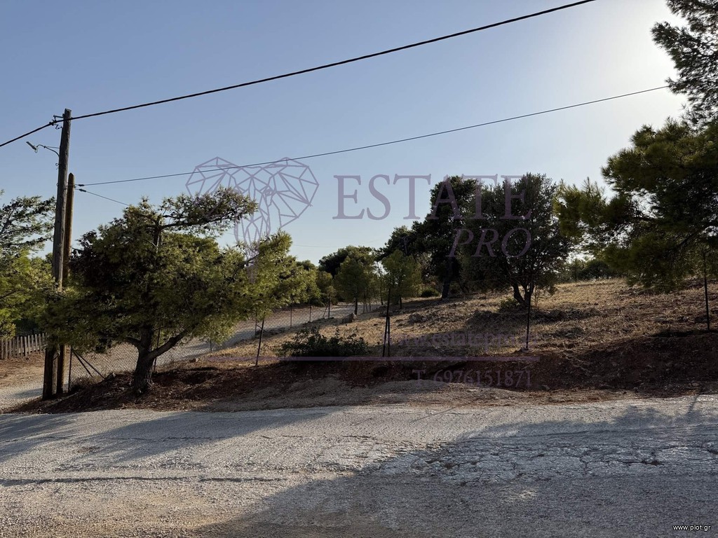 Οικόπεδο 500 τ.μ. πρός πώληση, Αττική - Υπόλοιπο, Πικέρμι