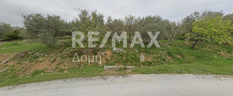 Αγροτεμάχια 1.694 τ.μ. πρός πώληση, Μαγνησία, Κεραμίδι
