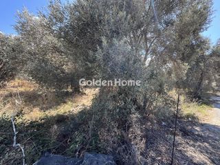 Οικόπεδο 1.000 τ.μ. για πώληση, Ν. Ρεθύμνου, Αρκάδι-thumb-3
