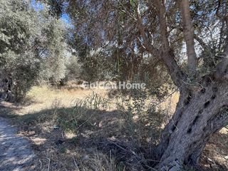 Οικόπεδο 1.000 τ.μ. για πώληση, Ν. Ρεθύμνου, Αρκάδι-thumb-2