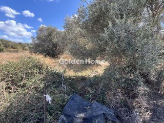 Οικόπεδο 1.000 τ.μ. για πώληση, Ν. Ρεθύμνου, Αρκάδι-thumb-4