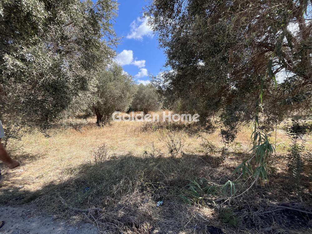 Οικόπεδο 1.000 τ.μ. για πώληση, Ν. Ρεθύμνου, Αρκάδι