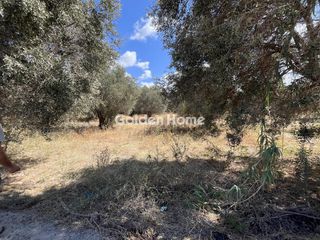 Οικόπεδο 1.000 τ.μ. για πώληση