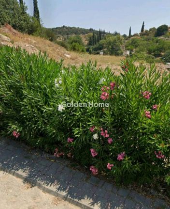 Οικόπεδο 1.000 τ.μ. για πώληση, Αργολίδα, Κουτσοπόδι