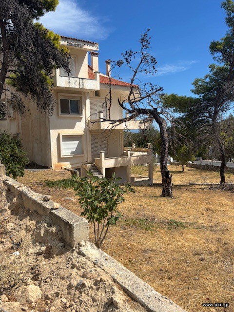 Μονοκατοικία 420 τ.μ. πρός πώληση, Αθήνα - Βόρεια Προάστια, Πεντέλη