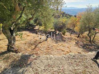 Μονοκατοικία 190 τ.μ. για πώληση, Αχαΐα, Μεσσατίδα-thumb-21