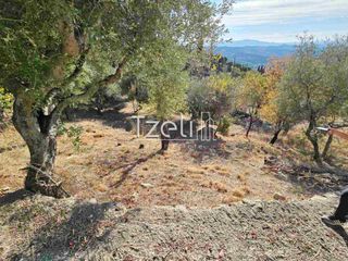 Μονοκατοικία 190 τ.μ. για πώληση, Αχαΐα, Μεσσατίδα-thumb-20