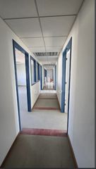 Office 430 sqm for rent