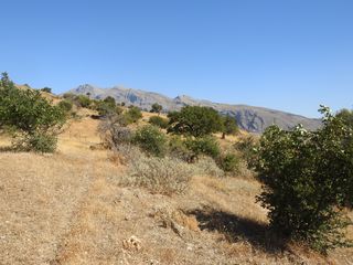 Οικόπεδο 7.815 τ.μ. για πώληση, Ν. Ρεθύμνου, Λάμπη-thumb-8