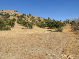 Οικόπεδο 7.815 τ.μ. για πώληση, Ν. Ρεθύμνου, Λάμπη-thumb-9