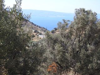 Οικόπεδο 7.815 τ.μ. για πώληση, Ν. Ρεθύμνου, Λάμπη-thumb-11