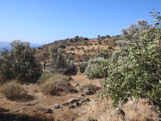 Οικόπεδο 7.815 τ.μ. για πώληση, Ν. Ρεθύμνου, Λάμπη-thumb-12