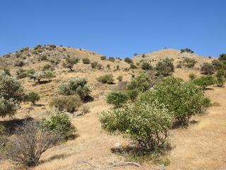 Οικόπεδο 7.815 τ.μ. για πώληση, Ν. Ρεθύμνου, Λάμπη-thumb-13