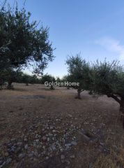 Οικόπεδο 8.000 τ.μ. για πώληση