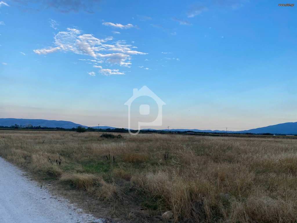 Οικόπεδο 60.000 τ.μ. πρός πώληση, Ν. Δράμας, Δράμα