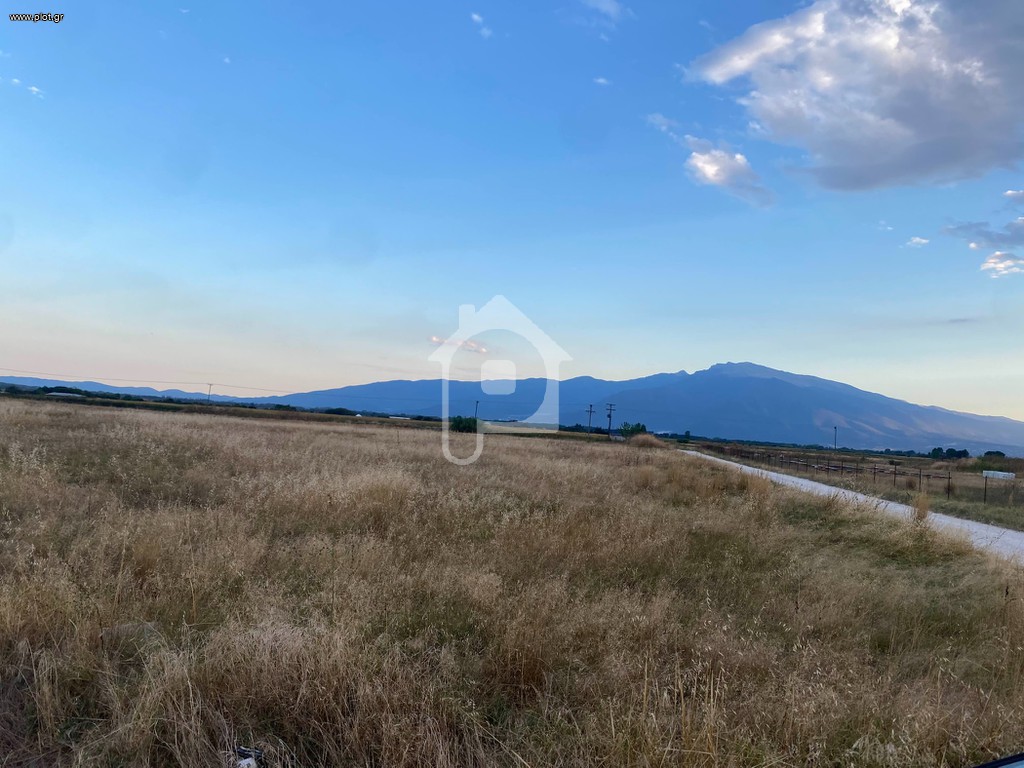 Οικόπεδο 60.000 τ.μ. πρός πώληση, Ν. Δράμας, Δράμα