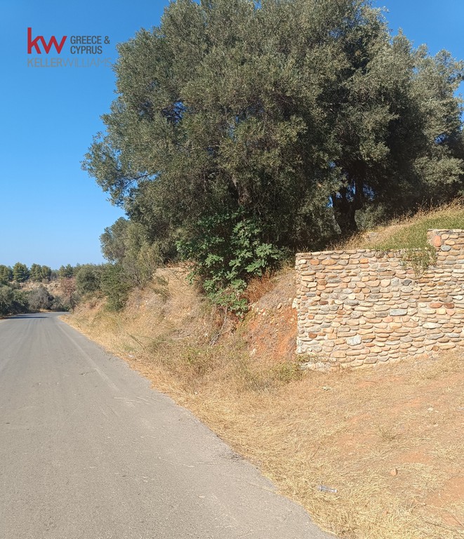 Οικόπεδο 4.193,87 τ.μ. προς πώληση, Βλαχερωνίτισσα