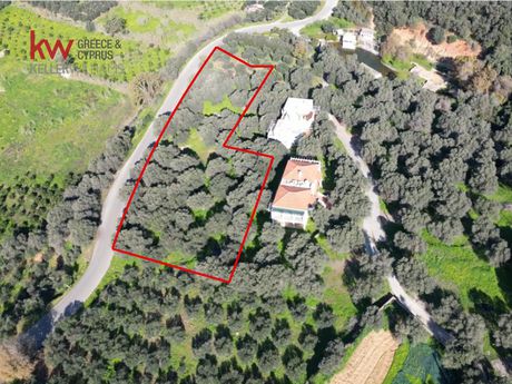 Οικόπεδο 4.193,87τ.μ. για πώληση-Πλατανιάς