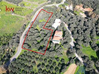 Οικόπεδο 4.193,87 τ.μ. για πώληση