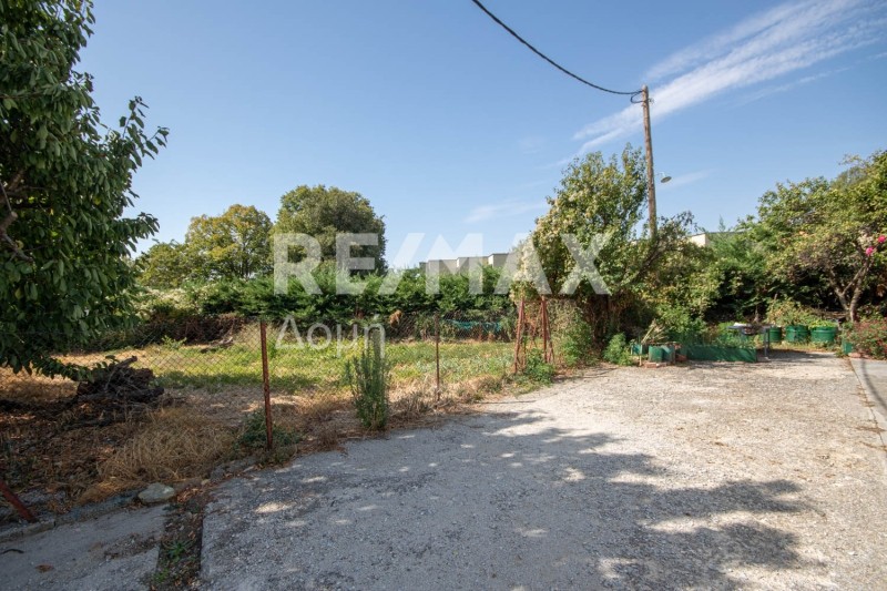 Οικόπεδο 212 τ.μ. πρός πώληση, Μαγνησία, Πορταριά