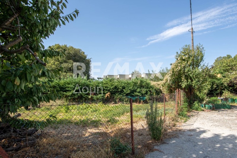 Οικόπεδο 212 τ.μ. πρός πώληση, Μαγνησία, Πορταριά
