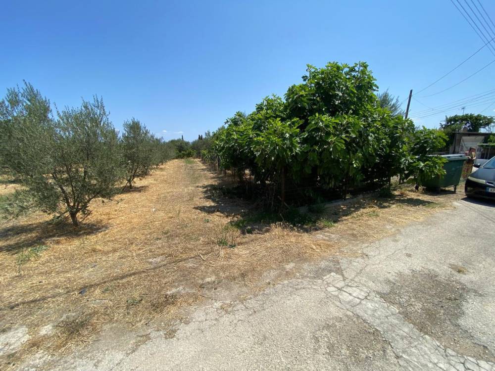 Οικόπεδο 1.100 τ.μ. πρός πώληση, Κορινθία, Βέλο