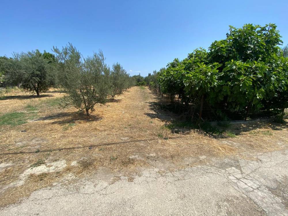 Οικόπεδο 1.100 τ.μ. πρός πώληση, Κορινθία, Βέλο