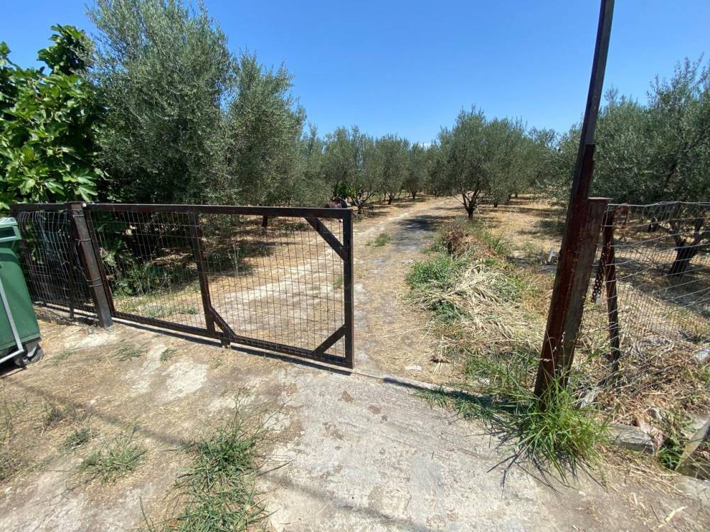 Οικόπεδο 1.100 τ.μ. πρός πώληση, Κορινθία, Βέλο