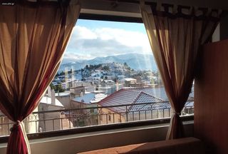 Studio / γκαρσονιέρα 45 τ.μ. για ενοικίαση, Βοιωτία, Αράχοβα-thumb-2