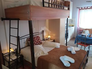 Studio / γκαρσονιέρα 45 τ.μ. για ενοικίαση, Βοιωτία, Αράχοβα-thumb-10